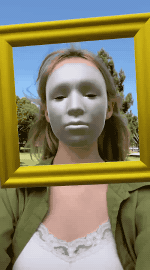 Gif example of Blur Noise Estimation and Dynamic Envmap as a Face Lens