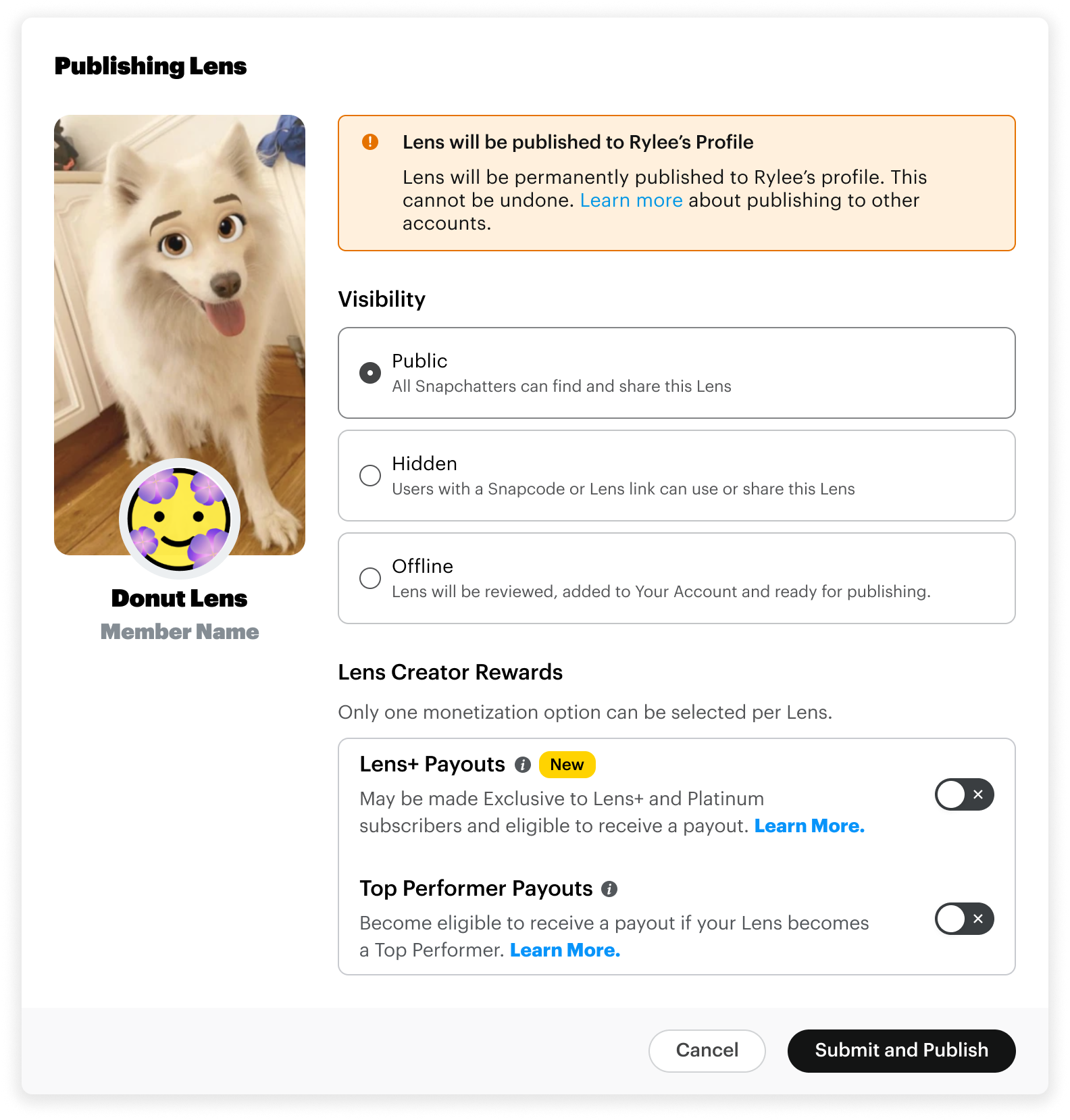 Ways to Monetize diagram