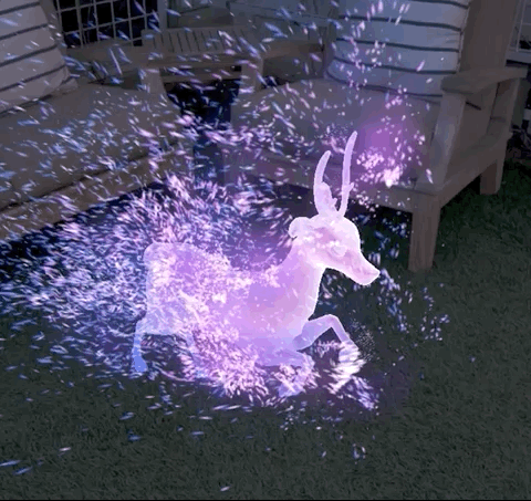 vfx-template-51.gif#asset:11013