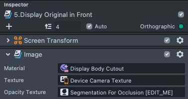Static picture of 5.Display Original in Front